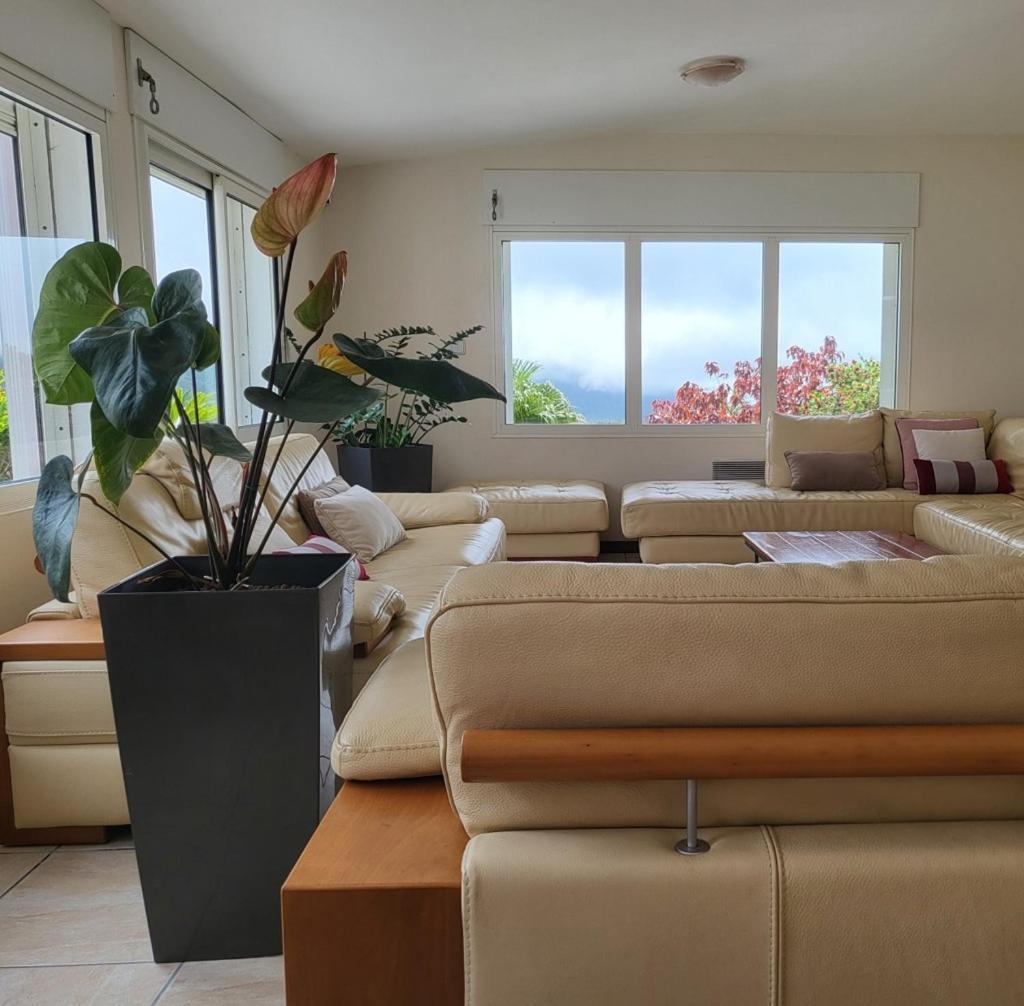 Chambre D'Hotes Chez Bea - Ch Double La Plaine-des-Palmistes Exterior foto